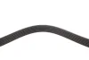 Ремінь генератора VW Caddy/T5 1.9TDI/2.0SDI 04-10/Renault Laguna/Megane/Trafic 1.9dTi/dCi 96-01 Febi Bilstein 28927 (фото 3)