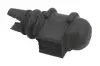 Втулка стабілізатора (переднього) Renault Megane I 1.4-1.8 99-03 (d=24,5mm) FEBI BILSTEIN 31009 (фото 2)