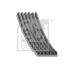 FEBI ремінь П-клиновий 6PK1019 (Elastic) FORD C-Max 1,6Ti 10-, Focus. FEBI BILSTEIN 38245 (фото 1)