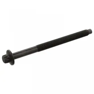 Болт голівки циліндра DS DS 7 VOLVO C30, S40 II, S60 II, S80 II, V40, V50, V60 I, V70 III CITROEN BERLINGO, BERLINGO MULTISPACE, BERLINGO/MINIVAN, C1, C2, C2 ENTERPRISE 1.4D-2.0D 09.01- FEBI BILSTEIN 43607