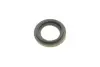 Ремкомплект супорта (заднього) Hyundai Terracan 01-06 (d=43mm) (+поршень) (Mando) (+поршень/направляюча) SuperKit FRENKIT 743373 (фото 5)