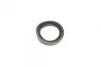 Ремкомплект супорта (переднього) Citroen Saxo 96-04 (d=48mm)(Bendix)(+1 поршен/направляюча)SuperKit FRENKIT 748308 (фото 5)