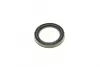 Ремкомплект супорта (переднього) Fiat Palio 97-12 (d=54mm)(Bosch)(+поршнь/направляюча) SuperKit FRENKIT 754397 (фото 8)