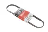 Ремінь генератора Honda Civic VI/Nissan Primera 1.3-6.0 87- Gates 4PK845 (фото 1)