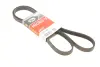 Ремінь генератора Suzuki SX4 2.0 06- Gates 5PK1665 (фото 3)
