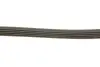 Ремінь генератора Suzuki SX4 2.0 06- Gates 5PK1665 (фото 4)