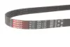 Ремінь генератора Citroen Jumper 1.9TD 94-02 (ALT,PS) Gates 6PK1130 (фото 2)