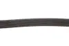 Ремінь генератора Citroen Jumper 1.9TD 94-02 (ALT,PS) Gates 6PK1130 (фото 3)