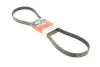 Ремінь генератора Fiat Bravo II/Opel Corsa D/E 1.3CDTi 1.9 D Multijet/1.3 CDTI 06- 6PK1360