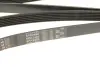 Ремінь Gates 6PK2490 (фото 5)