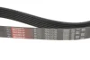 Ремінь поліклін. Gates 7PK1078 (фото 3)
