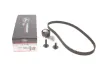 Комплект ГРМ Mazda 2/Ford Fiesta/Focus/Volvo S40/V50 1.25i-1.6 16V 95- (22x117z) K025433XS