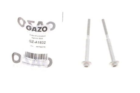 Болт кріплення форсунки VW Caddy/T5 2.0TDI 10- (к-кт 2шт.) Gazo GZ-A1832