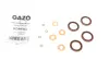 Ремкомплект форсунки Opel Astra H/Combo 1.3 CDTI 05-11 (к-кт на 4шт) Gazo GZ-A1863 (фото 1)
