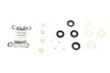 Ремкомплект форсунки Citroen Berlingo 1.6 HDi 05-11 Gazo GZ-A1875 (фото 1)