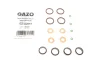 Ремкомплект форсунки Opel Astra G 2.0-2.2 DI 98-05 (к-к-т на 4шт) Gazo GZ-A2051 (фото 1)