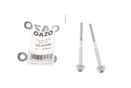 Болт кріплення форсунки VW Passat/Caddy IV 2.0TDI 10- (к-кт 2шт.) Gazo GZ-A2284
