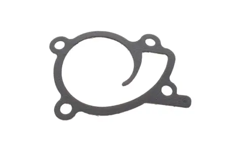 Прокладка помпи води Renault Kangoo 1.2 TCe 13- Gazo GZ-A2377
