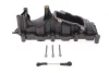 Колектор впускний Audi A4/A6/A8 2.7-3.0TDI 04-11 (L) Gazo GZ-E1109 (фото 1)