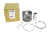 Поршень Citroen Jumper II/Peugeot Boxer 2.2HDi 06- (86.00mm/STD) Gazo GZ-F1684 (фото 6)