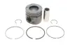 Поршень BMW 5 (E60) 05-10/X5 (E70) 3.0d (M57) 06-10 (84.00mm/STD) Gazo GZ-F1694 (фото 1)