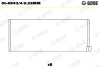 Вкладиші Glyco 01-4943/4 0.25MM (фото 1)