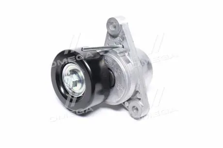 Ролик натяж.ремня генерат. epca GM 25187591