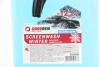 Омивач зимовий -12C 4L GOODREM лійка Goodrem RW0006 (фото 2)