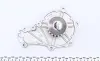 Комплект ГРМ + помпа Citroen/Peugeot 1.6HDI/Volvo 1.6 D2/Mazda 10-/Ford 1.6TDCI 13- (141x25) (PA938) GRAF KP938-2 (фото 2)
