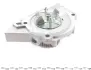 Помпа води Citroen C4/C5/C8/Jumpy/Fiat Scudo/Peugeot 206/307/406 1.8/2.0/2.2 99- (20z) (R/B) (6 лоп) GRAF PA1044 (фото 6)