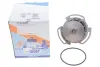 Помпа води Seat Cordoba/Ibiza/VW Golf/Polo 1.0i/1.3i/1.4i/1.6i 82-02 (30z) (B/B) (8 лоп) GRAF PA425 (фото 2)