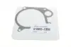 Помпа води BMW 3 (E46) 320d АКПП 98-01/5 (E39) 520d 00-03 (B/B) (7 лоп) (5 кан) M47 D20 GRAF PA759 (фото 5)