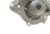 Помпа води Citroen C4-C8/Jumpy 2.0-2.2HDi/Fiat Scudo 2.0D/Ford Focus 2.0TDCI 01- (19z)(B/B)(8лоп) GRAF PA861 (фото 5)