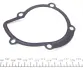 Помпа води Citroen Jumpy/Fiat Scudo/Peugeot Expert 2.0HDI 10- HEPU P902 (фото 2)