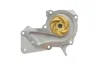 Комплект ГРМ + помпа Ford Mondeo/C-Max/Focus 1.5/1.6 EcoBoost 10-(117x22)(помпа P255) HEPU PK02551 (фото 5)