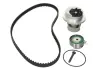 Комплект ГРМ + помпа Opel Combo/Astra F/Astra G 1.2/1.4/1.6 85-05 (111x17)(помпа P312) PK03121