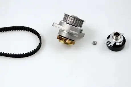 Комплект ГРМ + помпа VW Caddy/Golf/Skoda Octavia 1.6 92-04 HEPU PK05402