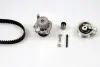 Комплект ГРМ + помпа Skoda Fabia/VW Passat/Golf 1.9TDI 00-06/Sharan 1.9TDI 95-10(120x30)(помпа P550) PK05502