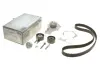 Комплект ГРМ + помпа Citroen Berlingo/Peugeot Partner 1.6HDI (z=137) PK08030