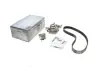 Комплект ГРМ + помпа Renault Clio/Kangoo 1.2 16V 01- (95x23.4) PK09540