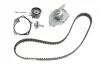 Комплект ГРМ + помпа Renault Kangoo 1.5dCi 01- (z=123) PK09580