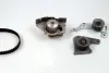 Комплект ГРМ + помпа Citroen/Peugeot/Fiat Scudo/Ducato/Hyundai 1.8/1.9D/TD 94-06 (136x25.4) (PA911) PK09610