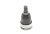 Опора кульова (передня/знизу) Acura TLX 2.4/3.5 i-VTEC/ Accord/Civic 2.0/2.4 14- HONDA 51220T2A315 (фото 1)