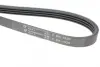 Ремінь генератора Suzuki Grand Vitara 2.5 V6/2.7 4x4 98-03 HUTCHINSON 1020 K 4 (фото 4)