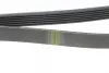 Ремінь генератора Renault Laguna 2.0 95-01 (6PK1240) HUTCHINSON 1237 K 6 (фото 3)
