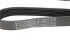 Ремінь генератора Fiat Doblo 1.3D Multijet/1.3JTD/Ford Focus 1.8/2.0 04- (6PK1310) HUTCHINSON 1310 K 6 (фото 2)