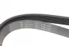 Ремінь генератора Ford Fiesta 1.4TDCI 01- HUTCHINSON 1336 K 6 (фото 4)