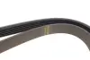Ремінь генератора Citroen Berlingo/Fiat Scudo/Peugeot Partner 1.9D 98- (6PK1387) HUTCHINSON 1387 K 6 (фото 3)