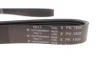 Ремінь генератора Chrysler Cruiser 2.2 CRD 02-10 (6PK1600) Hutchinson 1600 K 6 (фото 4)