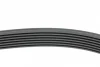 Ремінь генератора BMW 5 (E39)/7 (E38) 3.5i/4.0i 96-03 (7PK1635) HUTCHINSON 1637 K 7 (фото 2)